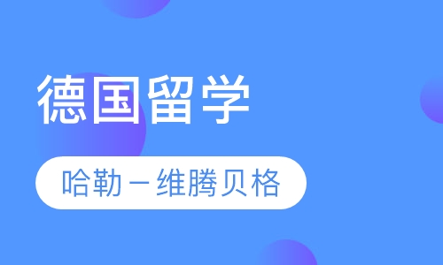 哈勒－维腾贝格大学