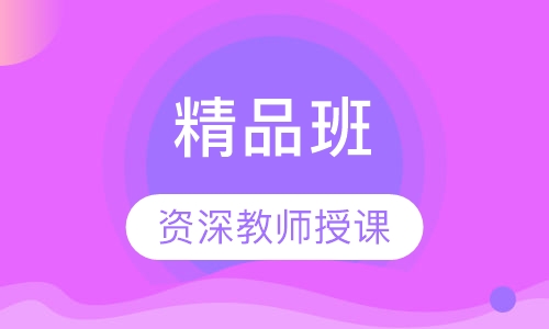 艺术生文化课精品班