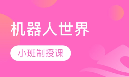机器人世界