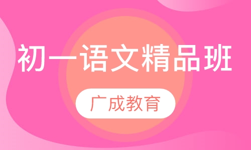 初一语文精品班