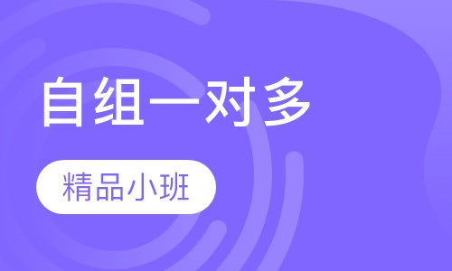 自组一对多精品小班