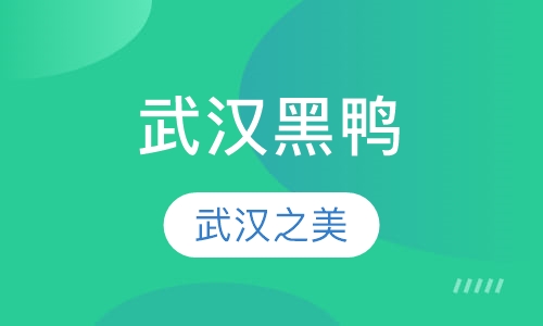 武汉黑鸭