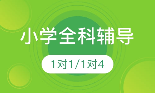 小学全科辅导