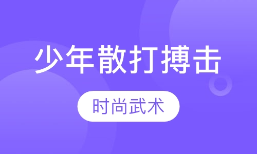 少年散打搏击