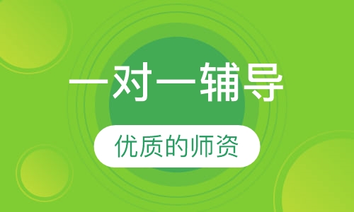 一对一辅导
