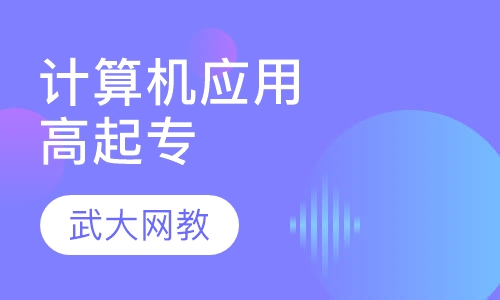 计算机应用高起专