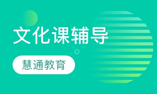 文化课辅导