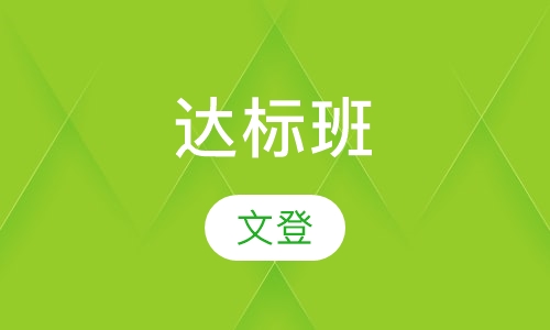 达标班