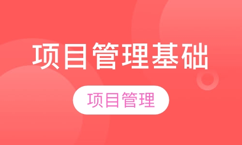 职能组织中的项目管理
