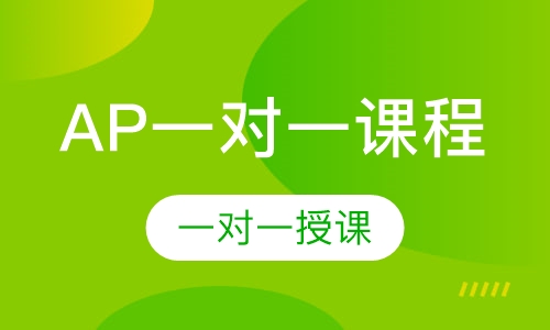 AP一对一课程