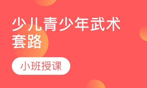 少儿青少年武术套路