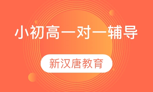小初高一对一辅导