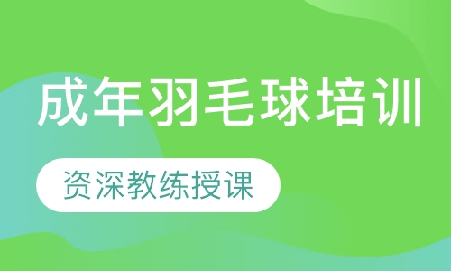 成年羽毛球培训