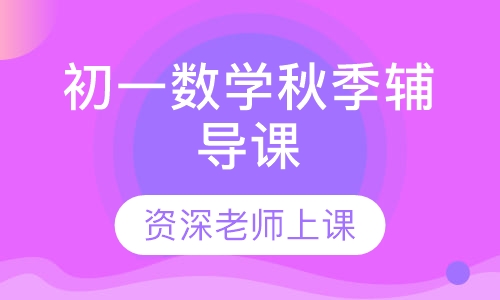 初一数学秋季辅导课