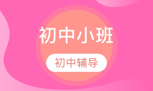 初中小班辅导课程