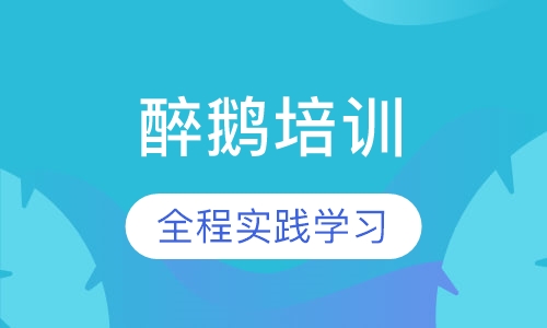 醉鹅培训