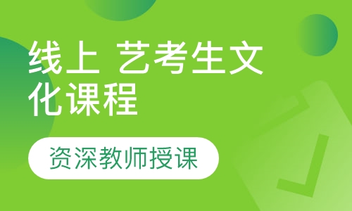 线上 艺考生文化课程