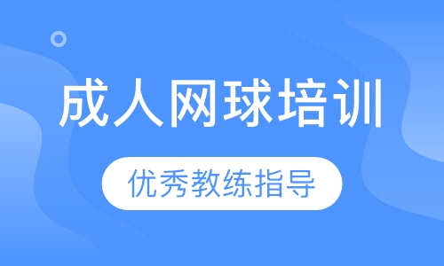 成人网球培训