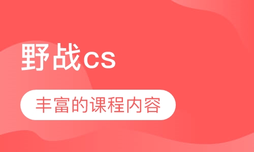 野战cs