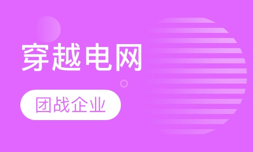 穿越电网