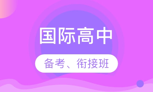 国际高中备考、衔接班