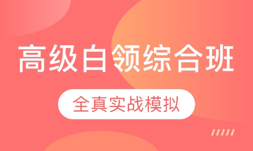 高级白领综合班