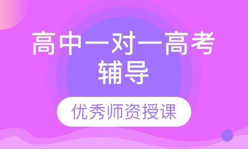 高中一对一高考辅导