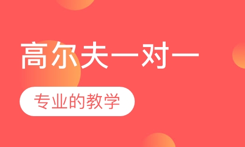 King派高尔夫一对一