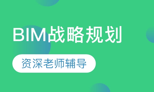 BIM战略规划 （取证+实操班）