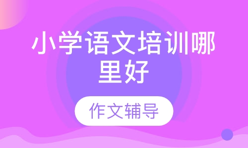 小学语文培训哪里好
