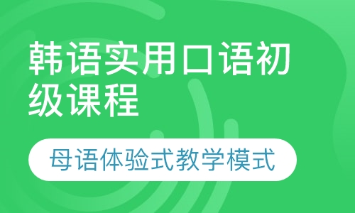 韩语实用口语初级课程