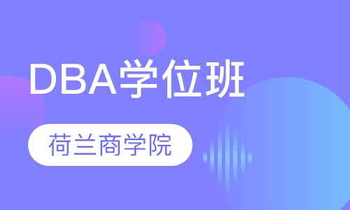 荷兰商学院DBA学位班