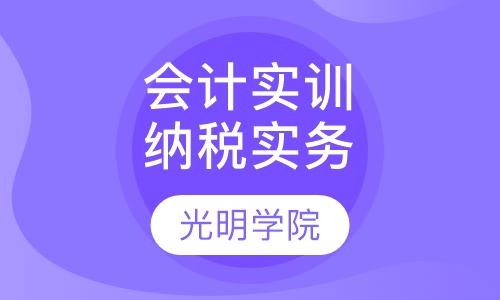 会计实训纳税实务