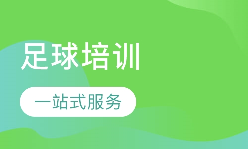 上门小班儿童足球培训