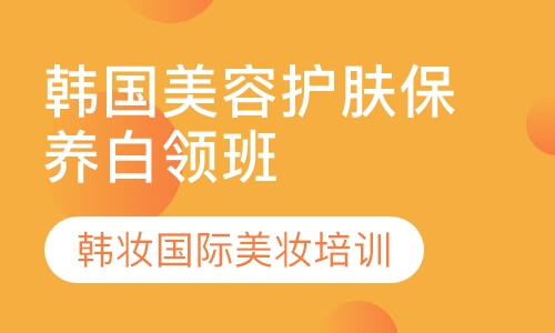 韩国护肤保养白领班