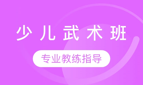 少 儿 武 术 班