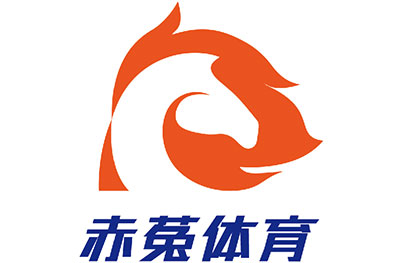 上海匠弈体育青少年篮球
