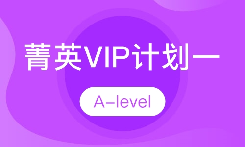 A-level菁英VIP计划一