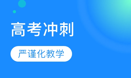 高考定向冲刺课程