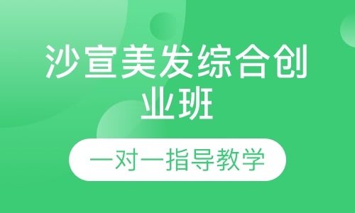 沙宣美发综合创业班