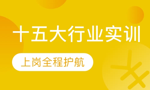 十五大行业实训