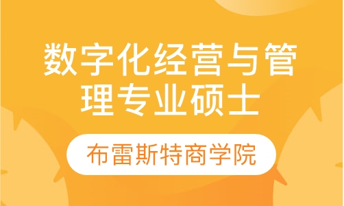 数字化经营与管理专业硕士班