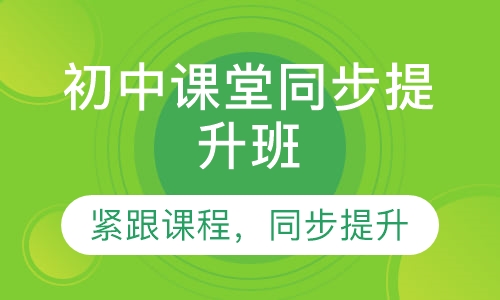 初中课堂同步提升班