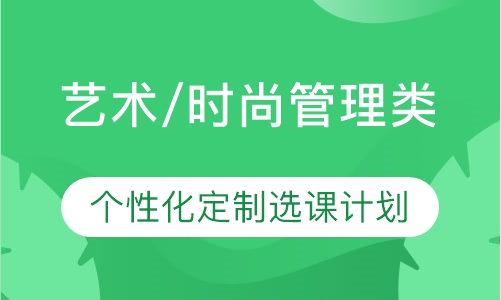艺术作品集艺术/时尚管理类
