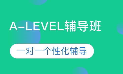 A-LEVEL1对1辅导班
