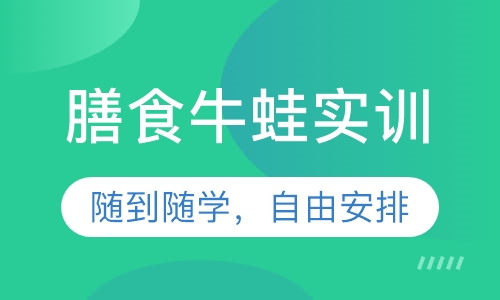 膳食牛蛙实训
