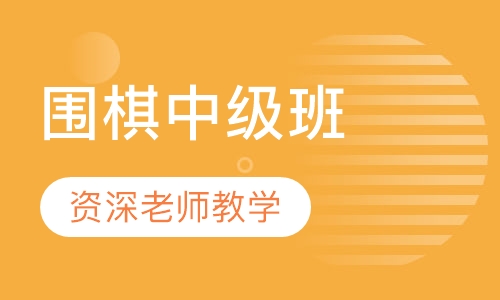 围棋中级班