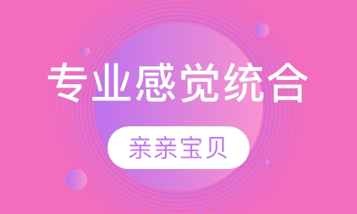 专业感觉统合课程