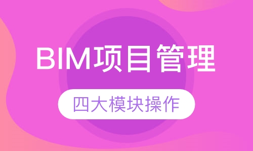 BIM项目管理 （取证+实操班）