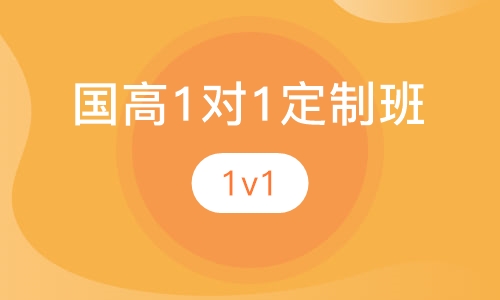 国高1对1定制班